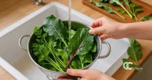 Reaproveitar Folhas de Vegetais: 15 Maneiras Criativas para Economizar e Reduzir o Desperdício na Cozinha